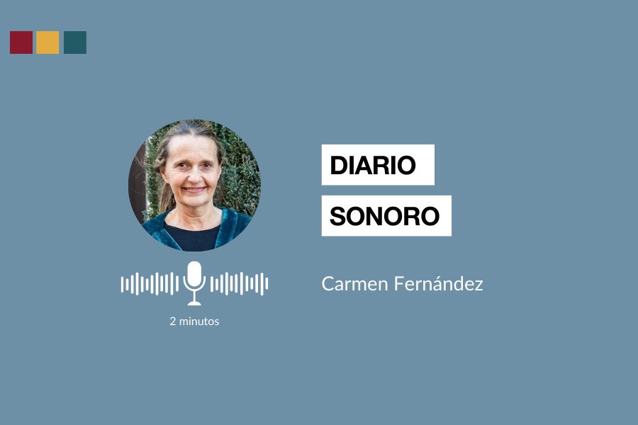 Diario sonoro de la convención general Carmen Fernández laica