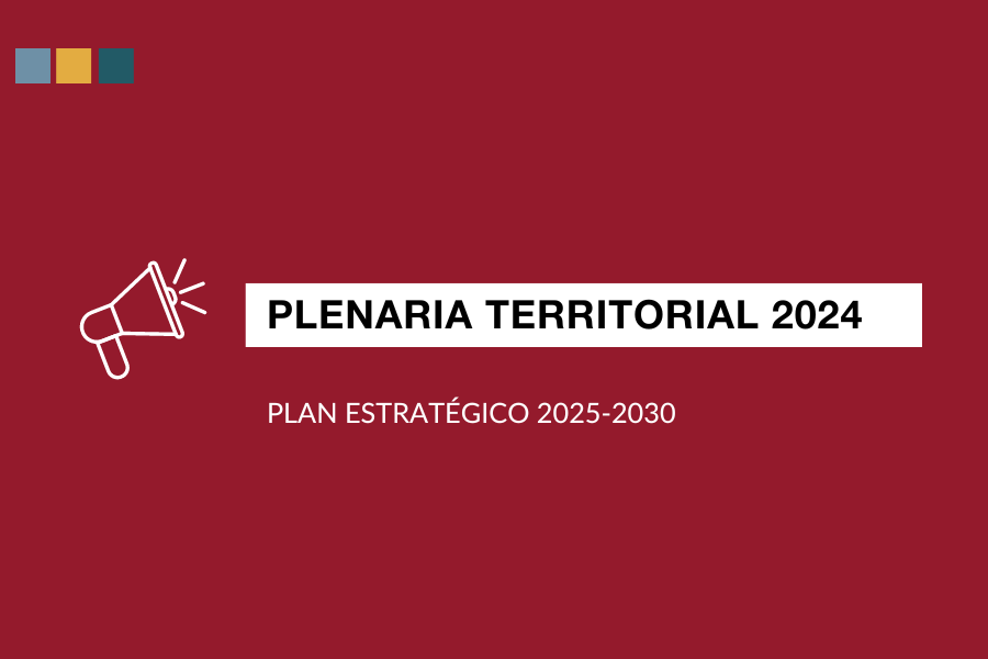 Plenaria Territorial de 2024