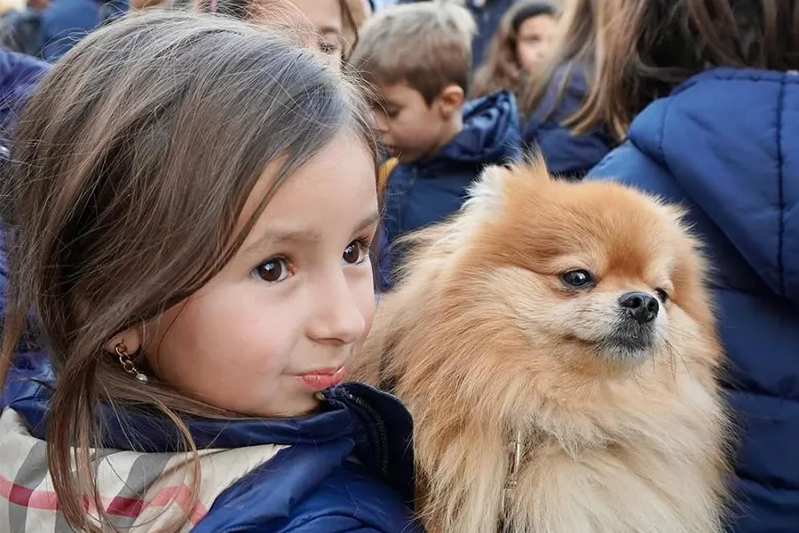 San Antón patrono de los animales en los colegios Regnum Christi